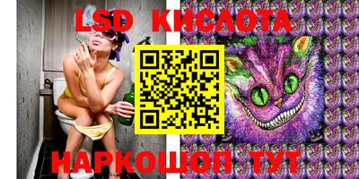 дживик Бийск