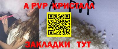 стаф Берёзовский