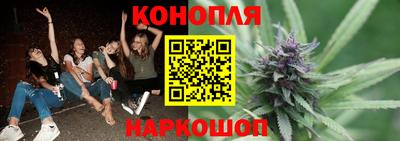 стаф Берёзовский