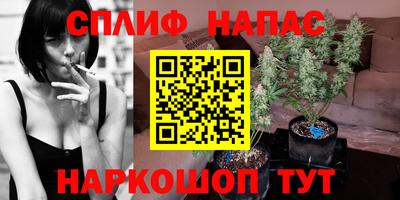 ГАЛЛЮЦИНОГЕННЫЕ ГРИБЫ Беслан