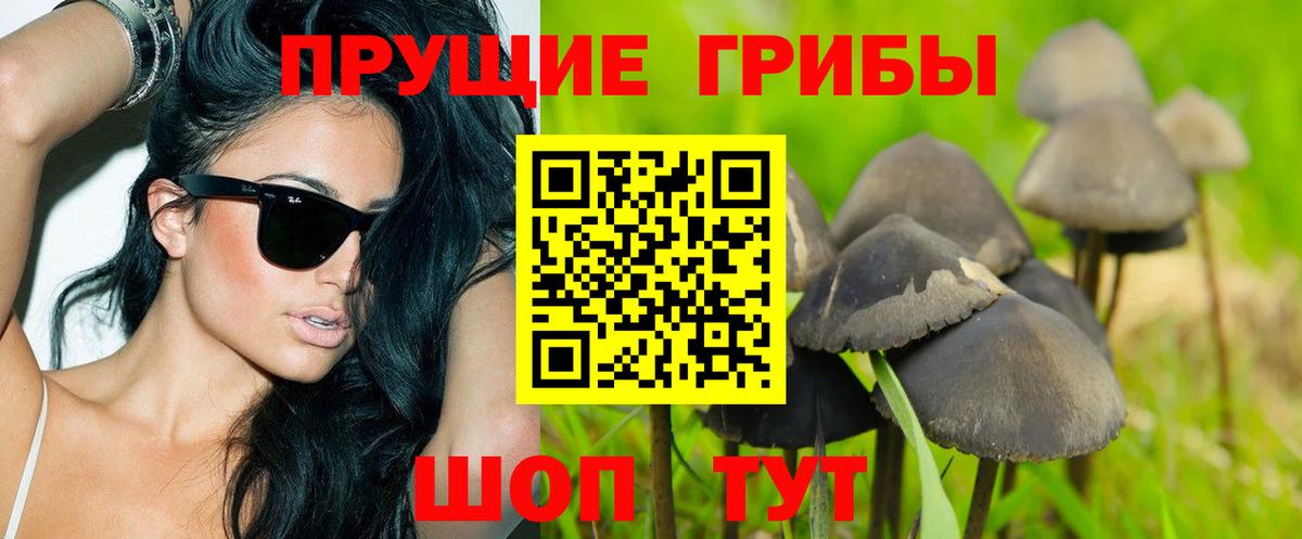 Псилоцибиновые грибы мухоморы Каменск-Уральский