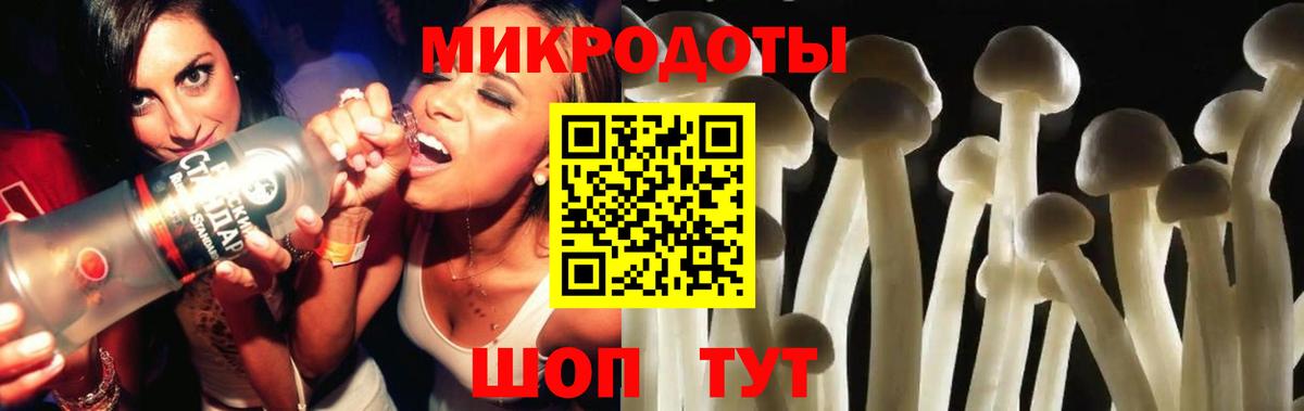 Псилоцибиновые грибы Каменск-Уральский